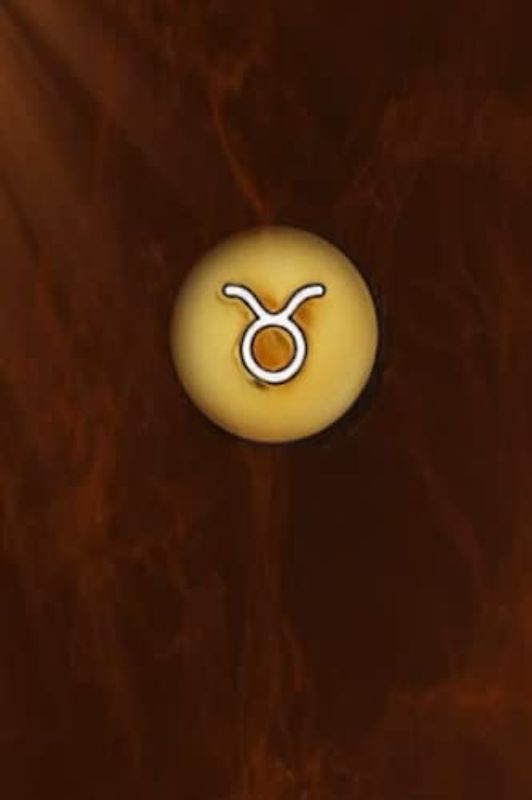 SERENA: Book 4 of the Twelve Book Series