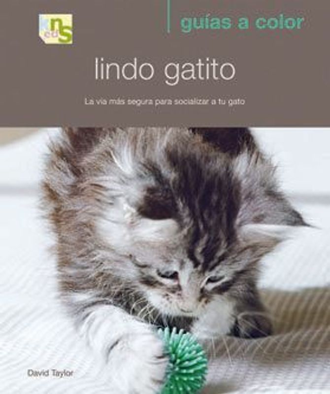 Lindo gatito : la vía más segura para socializar a tu gato