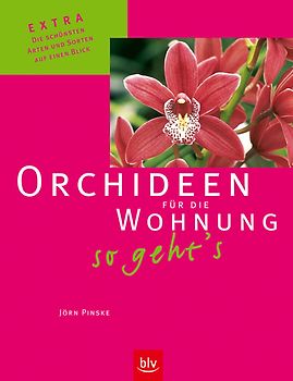 Orchideen für die Wohnung – so geht's