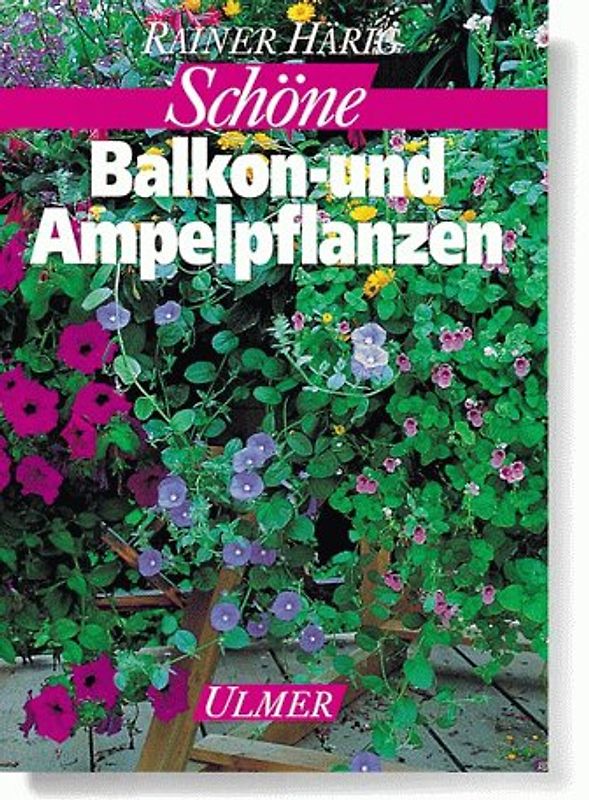 Schöne Balkon- und Ampelpflanzen
