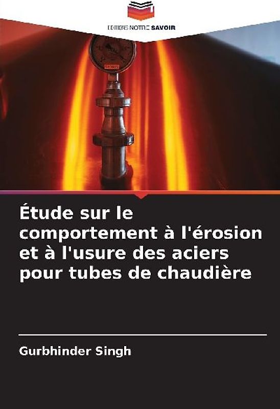 Étude sur le comportement à l'érosion et à l'usure des aciers pour tubes de chaudière