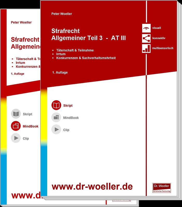 Paket Skript & MindBook - Strafrecht Allgemeiner Teil 3 – AT III