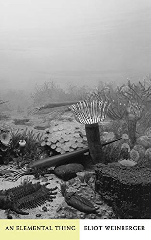 An Elemental Thing (New Directions Paperbook) - Eliot Weinberger