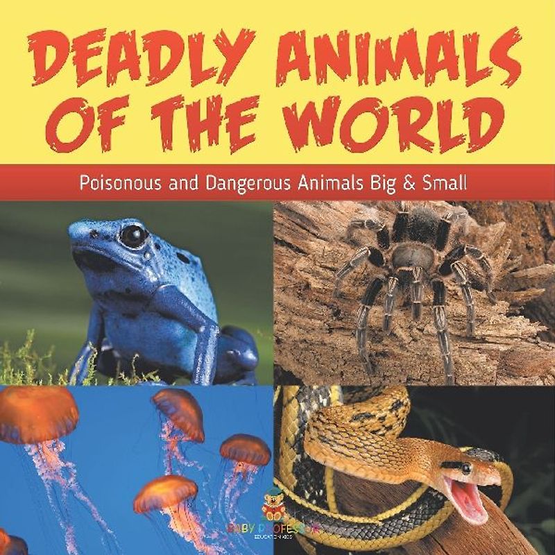 Deadly Animals Of The World