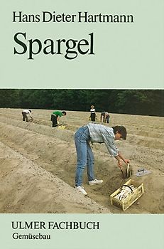 Spargel