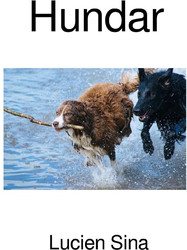 Hundar