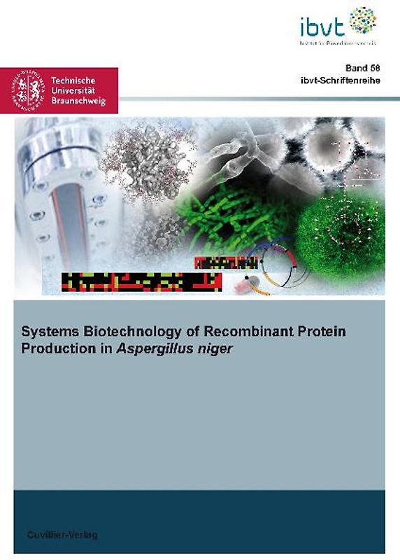 Systems Biotechnology of Recombinant Protein Production in Aspergillus niger