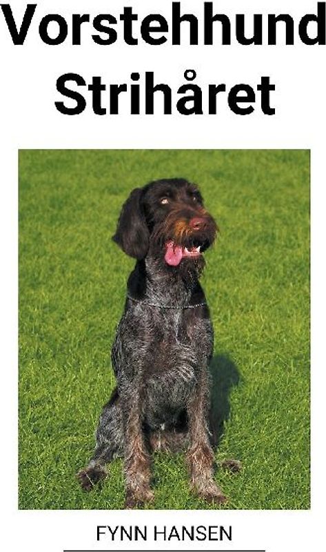 Vorstehhund Strihåret