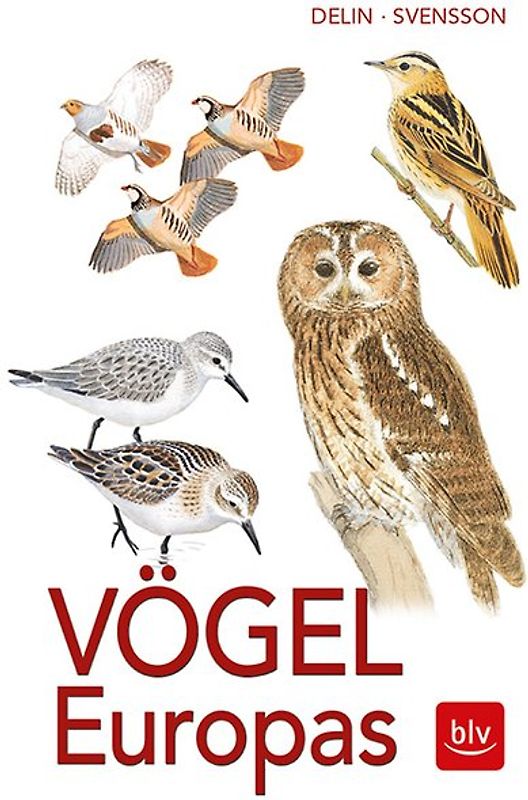 Vögel Europas