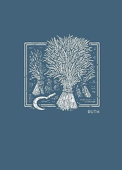 NET Abide Bible Journal - Ruth, Paperback, Comfort Print | Softcover