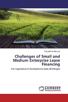 Challenges of Small and Medium Enterprise Lease Financing
