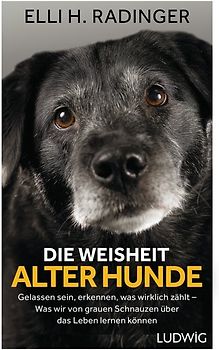 Die Weisheit alter Hunde