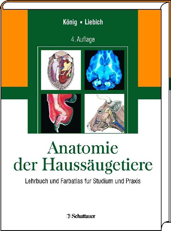 Anatomie der Haussäugetiere