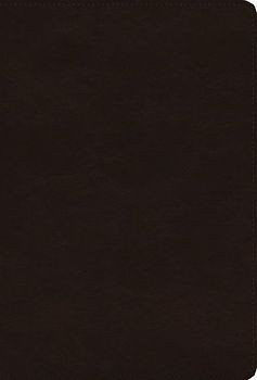 ESV Giant Print Thinline Bible, Red Letter (Trutone, Deep Brown)