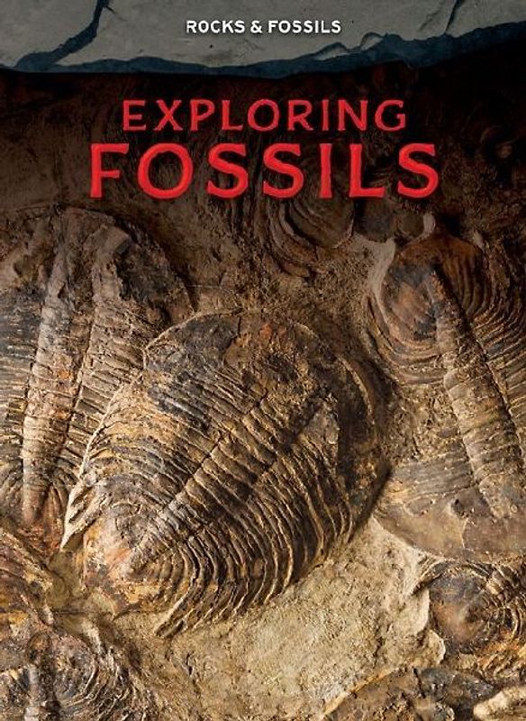 Exploring Fossils