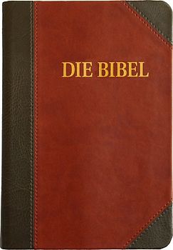 Schlachter 2000 Bibel - Großdruckausgabe (Softcover, grau/braun)