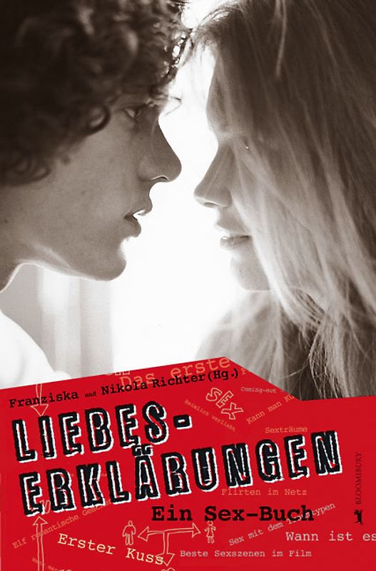 Liebes-Erklärungen. Ein Sex-Buch