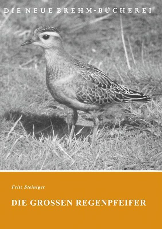 Die großen Regenpfeifer