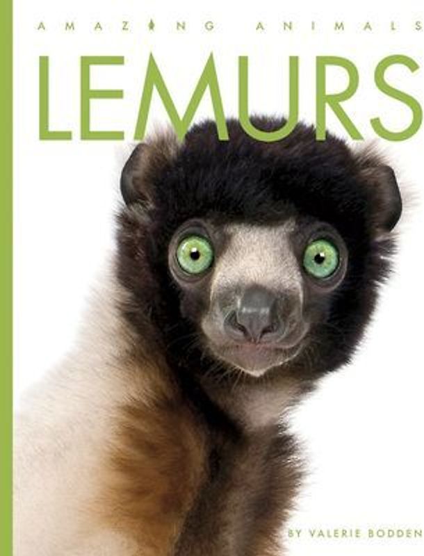 Lemurs
