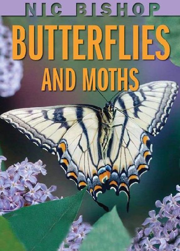 Nic Bishop: Butterflies and Moths