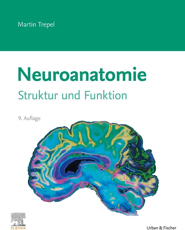 Neuroanatomie