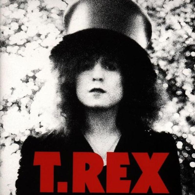 T.Rex - Slider
