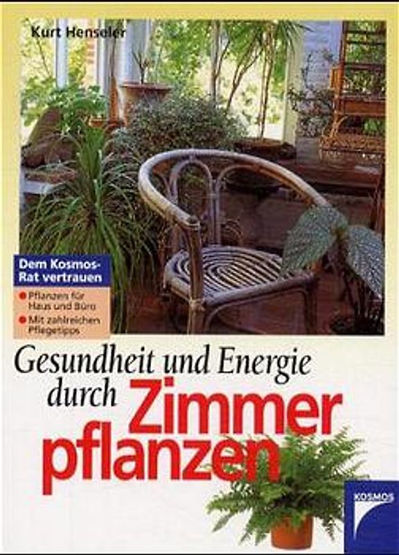 Gesundheit und Energie durch Zimmerpflanzen