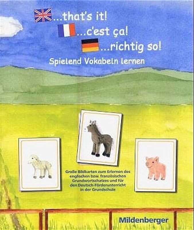 „... that`s it! 1 ... c`est ça! 1 ... richtig so! 1“ – Substantive