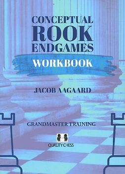 Conceptual Rook Endgames Workbook