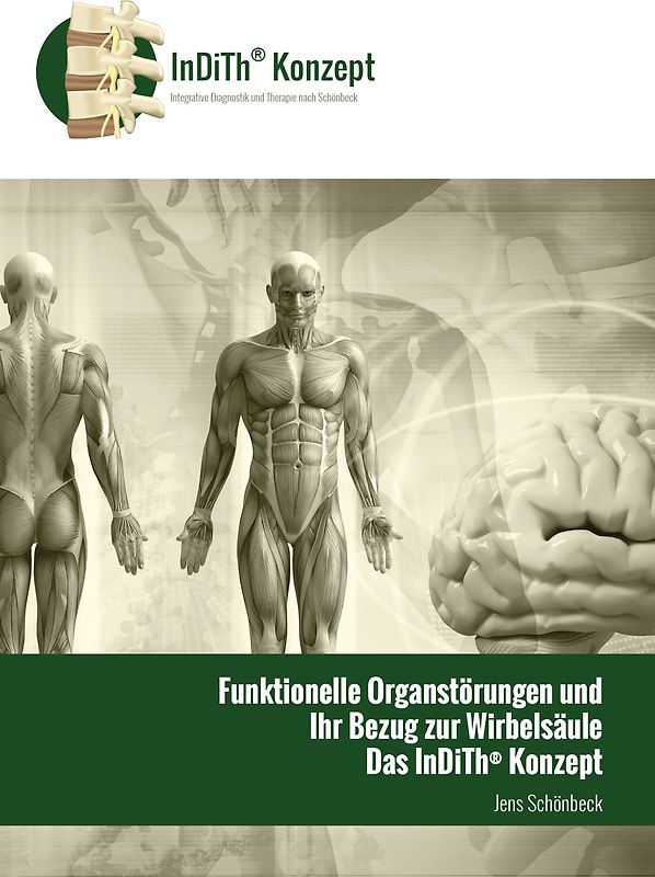 funktionelle Organstörungen und Ihr Bezug zur Wirbelsäule