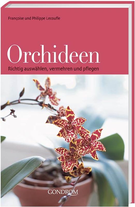 Orchideen