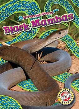 Black Mambas