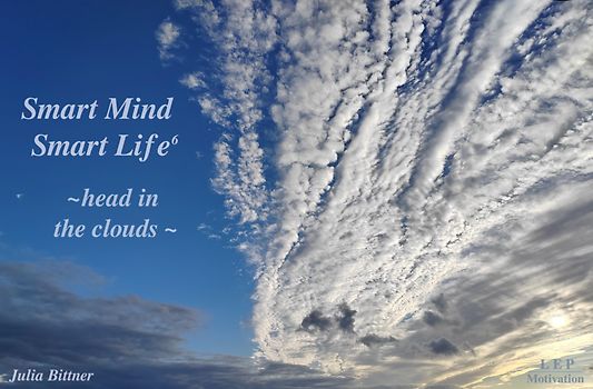 SMART MIND SMART LIFE⁶