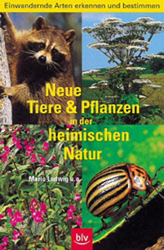 Neue Tiere und Planzen in der heimischen Natur