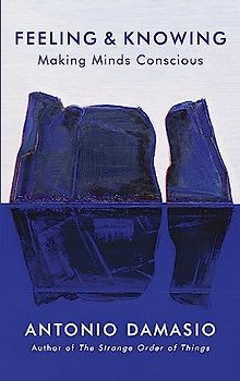 Feeling and Knowing: Making Minds Conscious