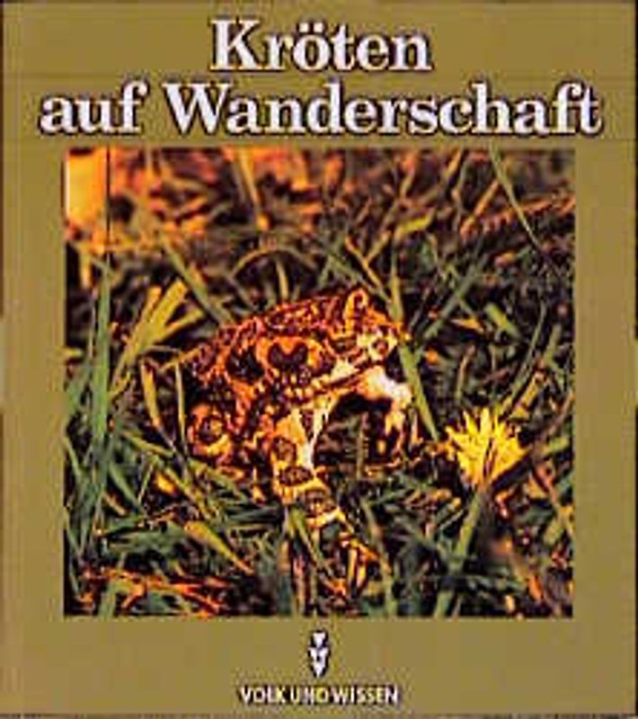 Kröten auf Wanderschaft