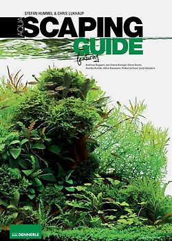 Aquascaping Guide