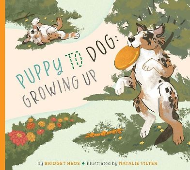 Puppy to Dog: Growing Up