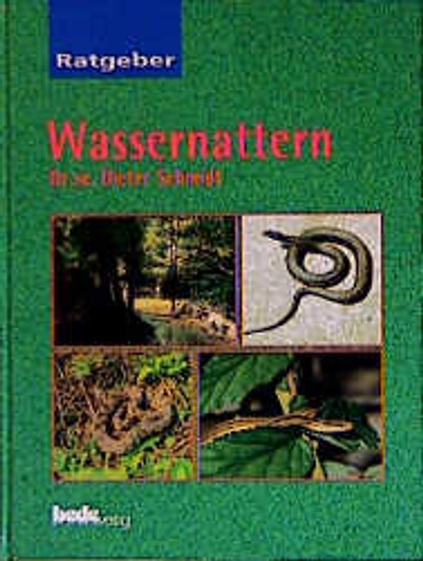 Ratgeber Wassernattern