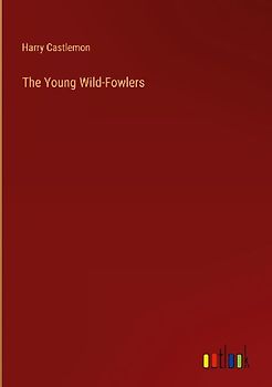The Young Wild-Fowlers