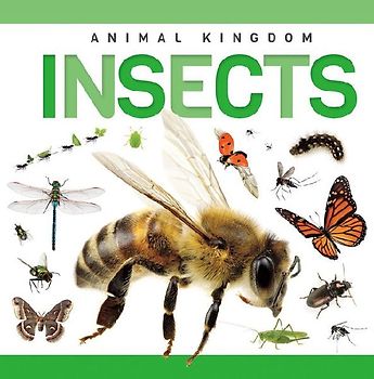 Insects