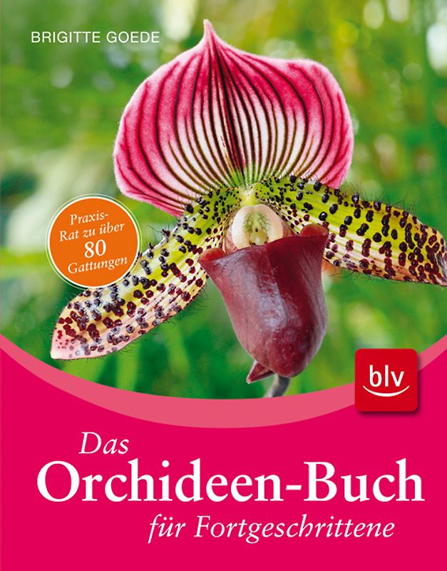 Das Orchideen-Buch für Fortgeschrittene
