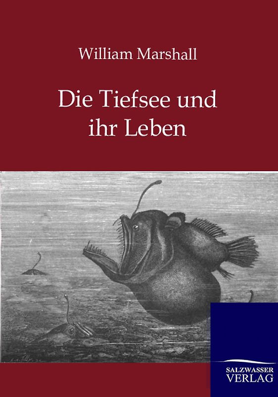 Die Tiefsee und ihr Leben