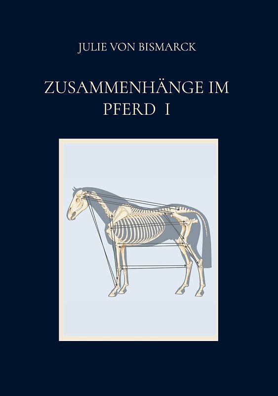 Zusammenhänge im Pferd I