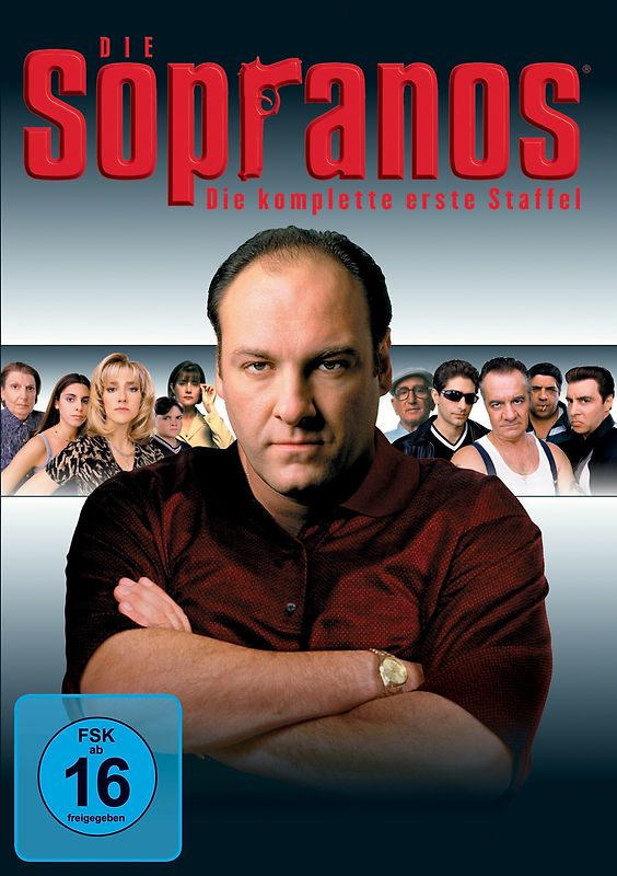 Die Sopranos - Staffel 1 [4 DVDs] DVD