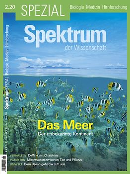 Spektrum Spezial - Das Meer