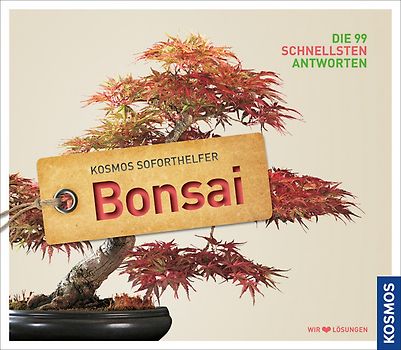 Soforthelfer Bonsai