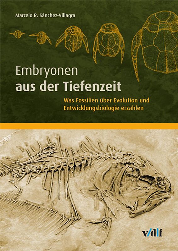 Embryonen aus der Tiefenzeit