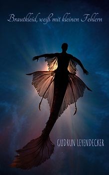 Brautkleid, weiß mit kleinen Fehlern