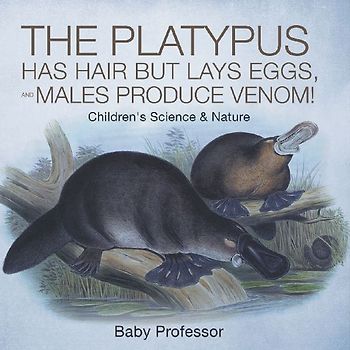 The Platypus Has Hair but Lays Eggs, and Males Produce Venom! | Children's Science & Nature